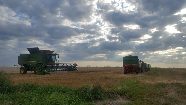 foto